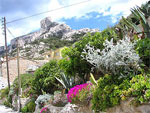 Marseille seashore