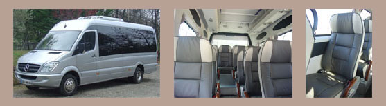 VIP 19 seat Minibus with driver in Provence